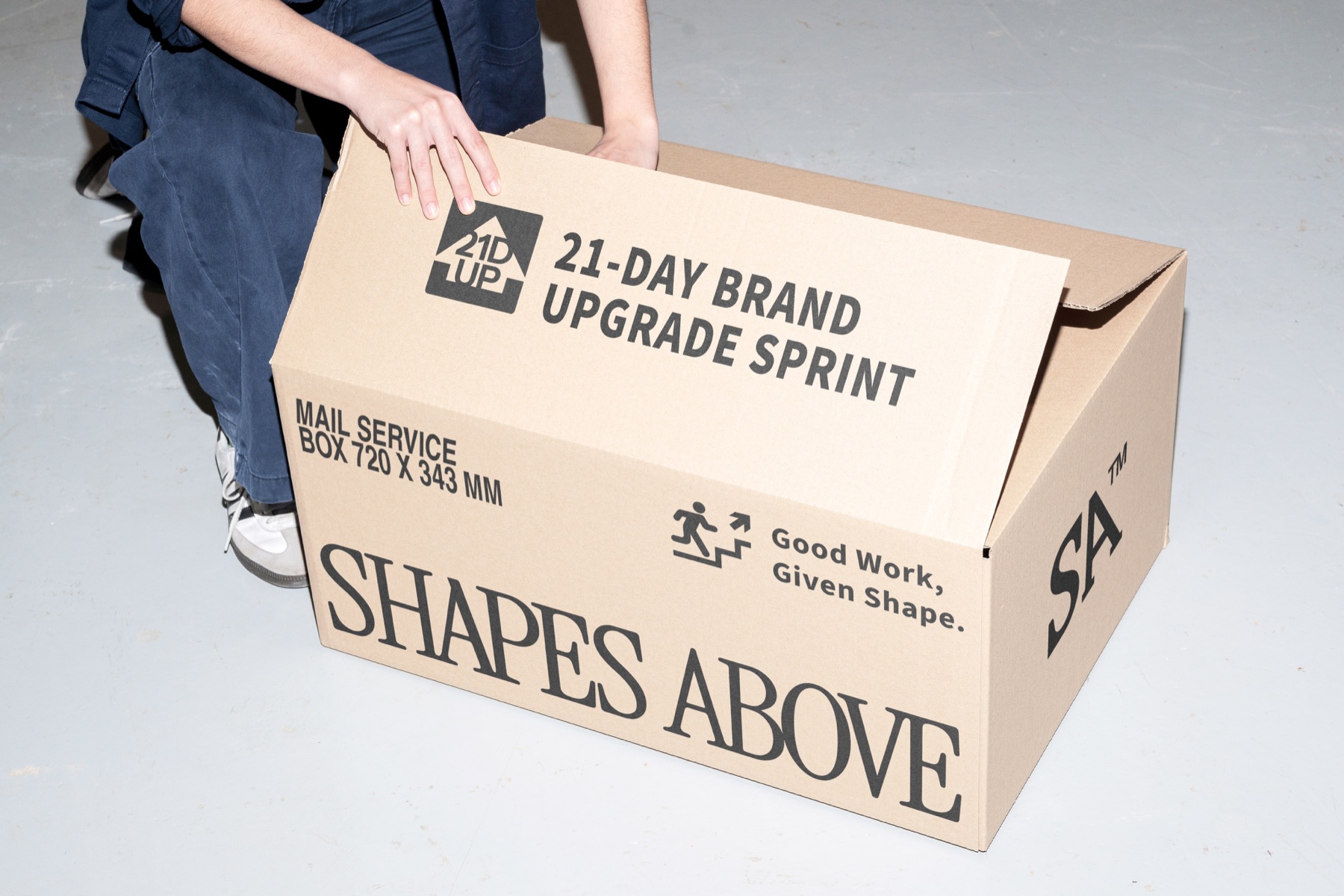 Shapes Above 21-Day Brand Upgrade Sprint box